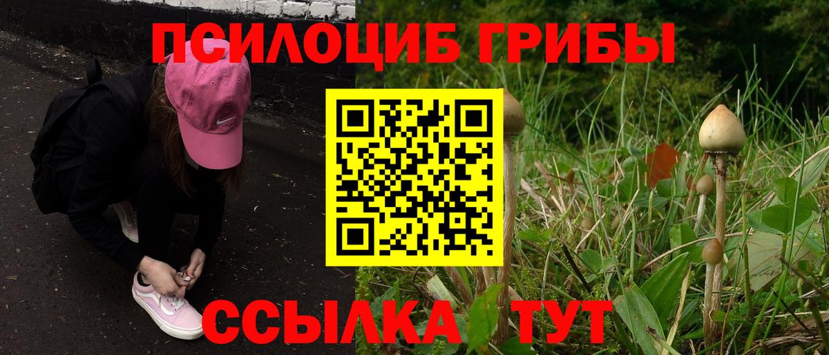 Псилоцибиновые грибы MAGIC MUSHROOMS Фрязино