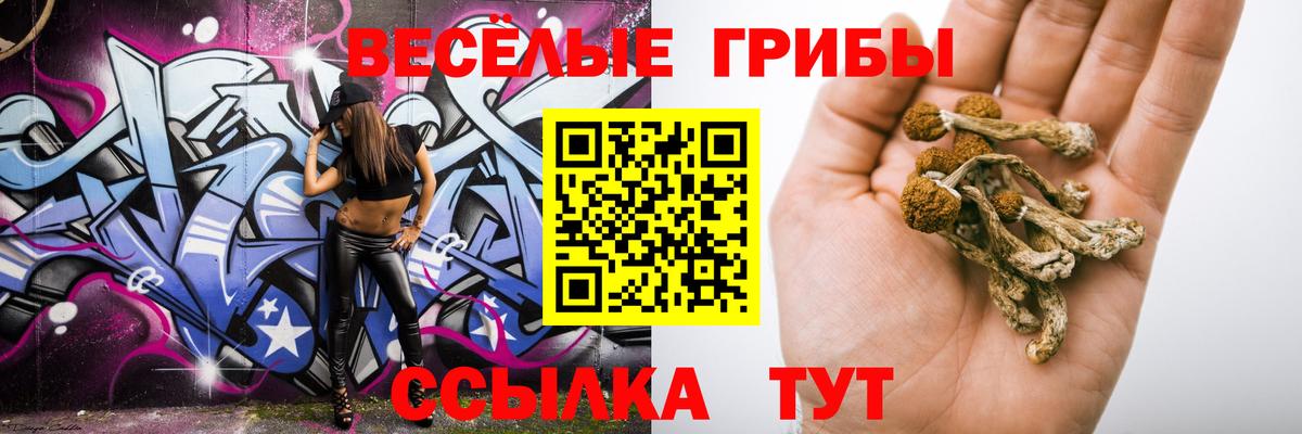 Фрязино  Псилоцибиновые грибы мухоморы  Псилоцибиновые грибы Psilocybe  Вход с VPN 